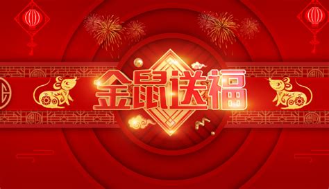 布衣蛾 2020年五行属什么